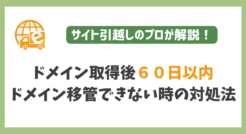 ドメイン取得後６０日以内でドメイン移管できない場合の２つの対処法