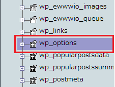 wp_optionを選択
