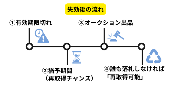 独自ドメイン失効後の再取得の流れ