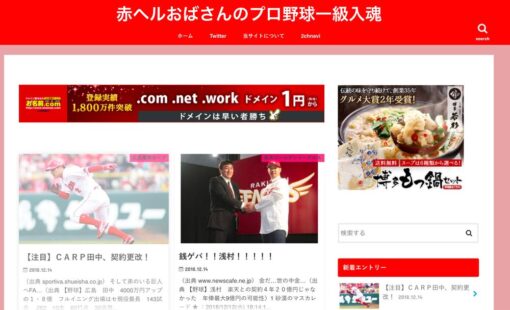 赤ヘルおばさんのプロ野球一球入魂